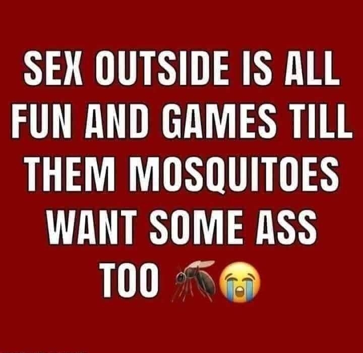 SEX OUTSIDE IS ALL FUN AND GAMES TILL THEM MOSQUITOES WANT SOME ASS 100