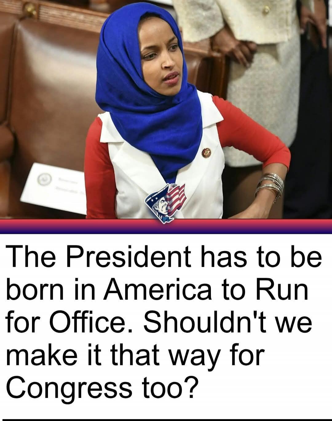 The President has to be born in America to Run for Office. Shouldn't we make it that way for Congress too?