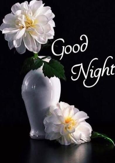 Good Night