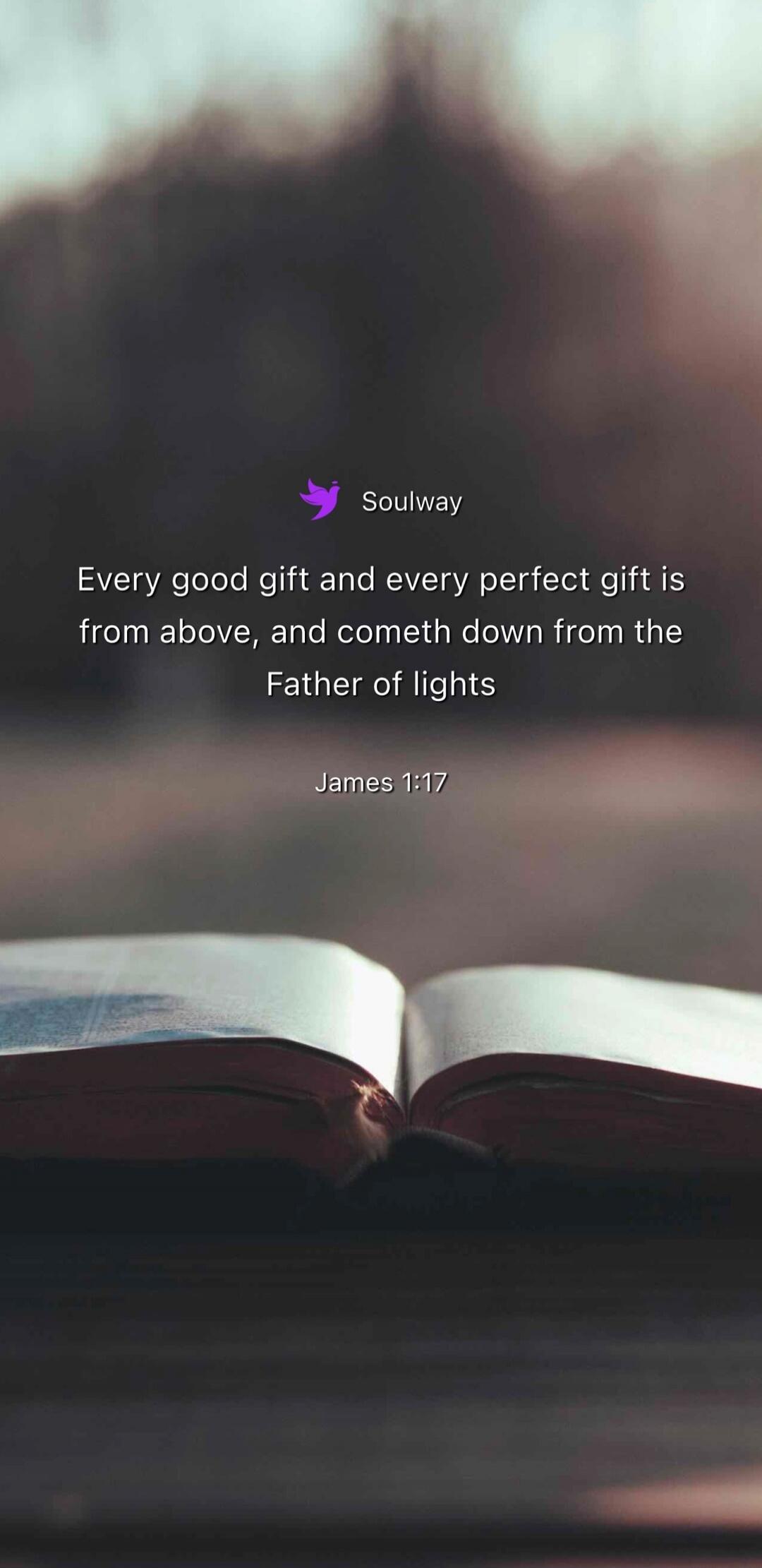 Soulway Every good gift and every perfect gift is from above, and cometh down from the Father of lights James 1:17