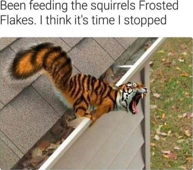 eeding the squirrels Frosted Flakes I think its time stopped