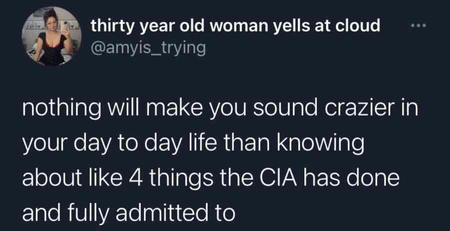 thirty year old woman yells at cloud e ER GV nothing will make you sound crazier in Vel R IVATeXe WA LI R st o Nale 1 ale about like 4 things the CIA has done Elale RVIVRTe naliiCle R e