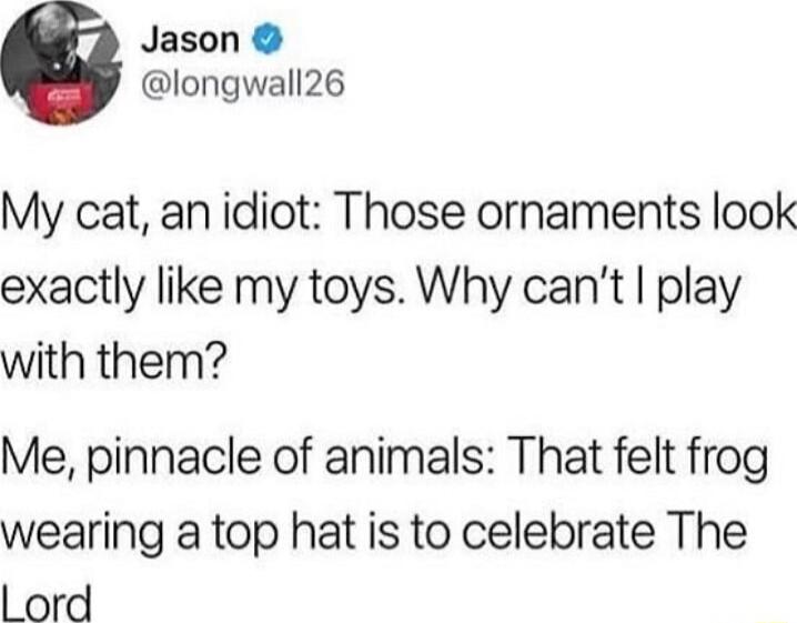 Jason longwall26 My cat an idiot Those ornaments look exactly like my toys Why cant play with them Me pinnacle of animals That felt frog wearing a top hat is to celebrate The ord