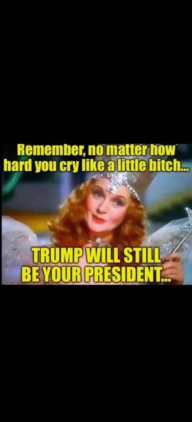 Remember, no matter how hard you cry like a little bitch... TRUMP WILL STILL BE YOUR PRESIDENT...