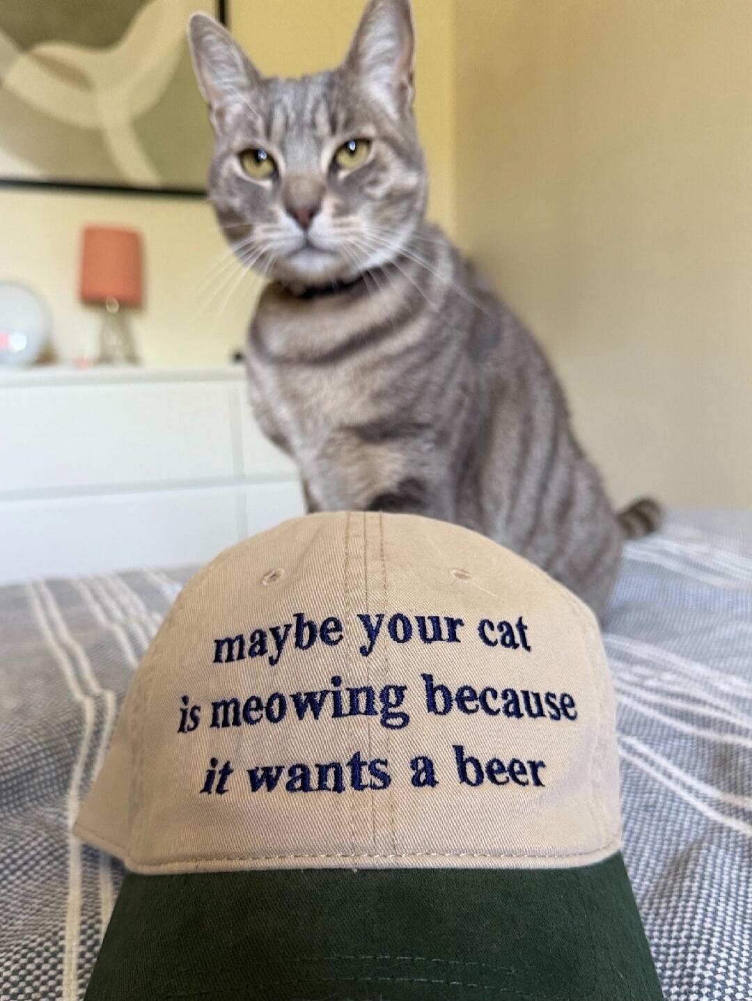 maybe your cat is meowing because it wants a beer