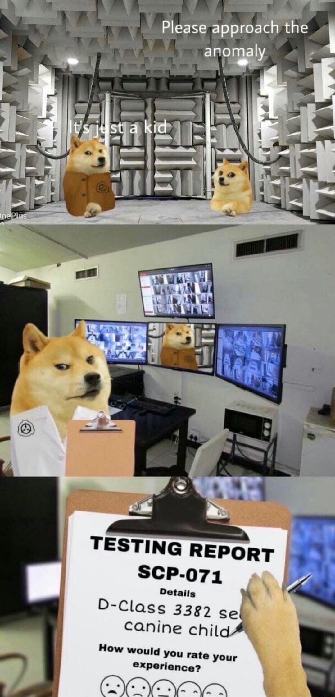 TESTING REPORT SCP 071 D Class 3382 se canine child How would you rate you experience