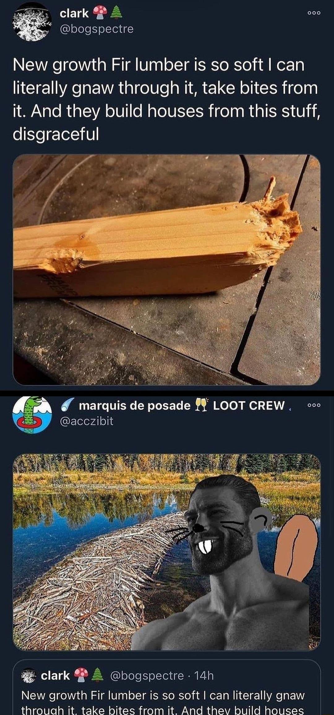 niz clark P A 000 g bogspectre NEYRe o Vit s W R Vg gl oI M ST Yo il oz 1 literally gnaw through it take bites from AN aTo R daTVA o1U1lo MaToIVEYI i fol pa M d o TE TS U i disgraceful marquis de posade LOOT CREW oo QElelov4l ol 2 g clark bogspectre 14h N TLe i W Tl 8T 0 o 1Y N ESRETo I o i ll WerT Wi Y 1 VAo TR V1Y throuah it take bites from it And thev build houses