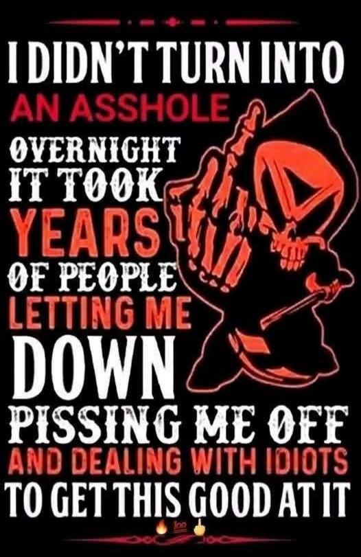 I DIDN'T TURN INTO AN ASSHOLE OVERNIGHT IT TOOK YEARS OF PEOPLE LETTING ME DOWN PISSING ME OFF AND DEALING WITH IDIOTS TO GET THIS GOOD AT IT