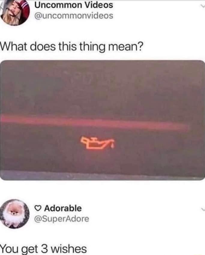 Uncommon Videos uncommonvideos hat does this thing mean Adorable SuperAdore ou get 3 wishes