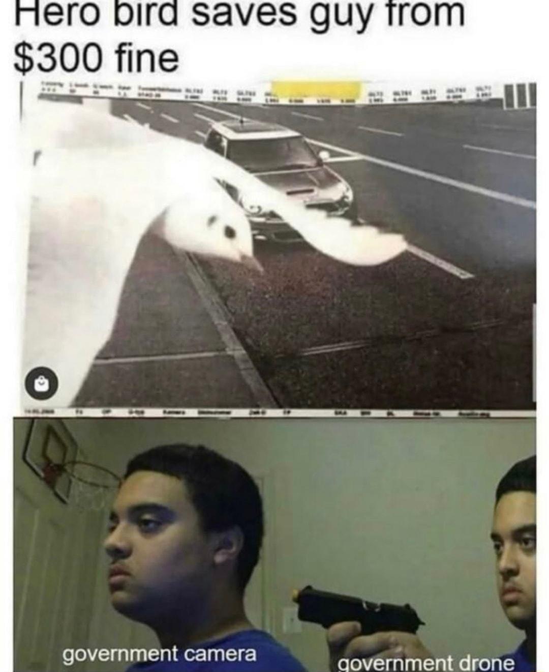 ro pira saves guy 300 fine e government camera qovernment drone