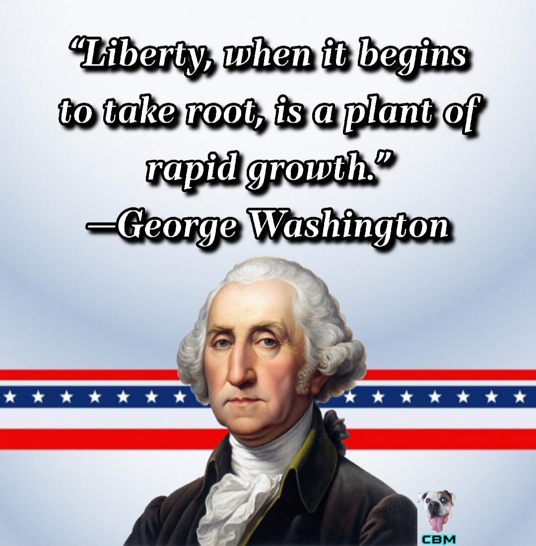 Liberty, when it begins to take root, is a plant of rapid growth.