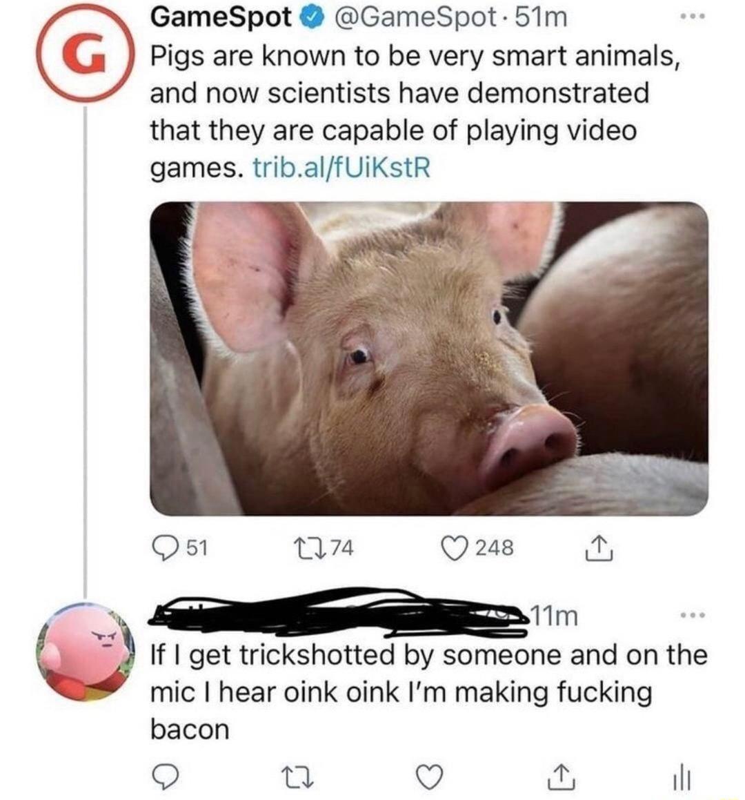 GameSpot GameSpot 51m Q Pigs are known to be very smart animals and now scientists have demonstrated that they are capable of playing video games tribalfUiKstR Qs n7n Q248 11m Q If1 get trickshotted by someone and on the mic hear oink oink Im making fucking bacon o n Q il