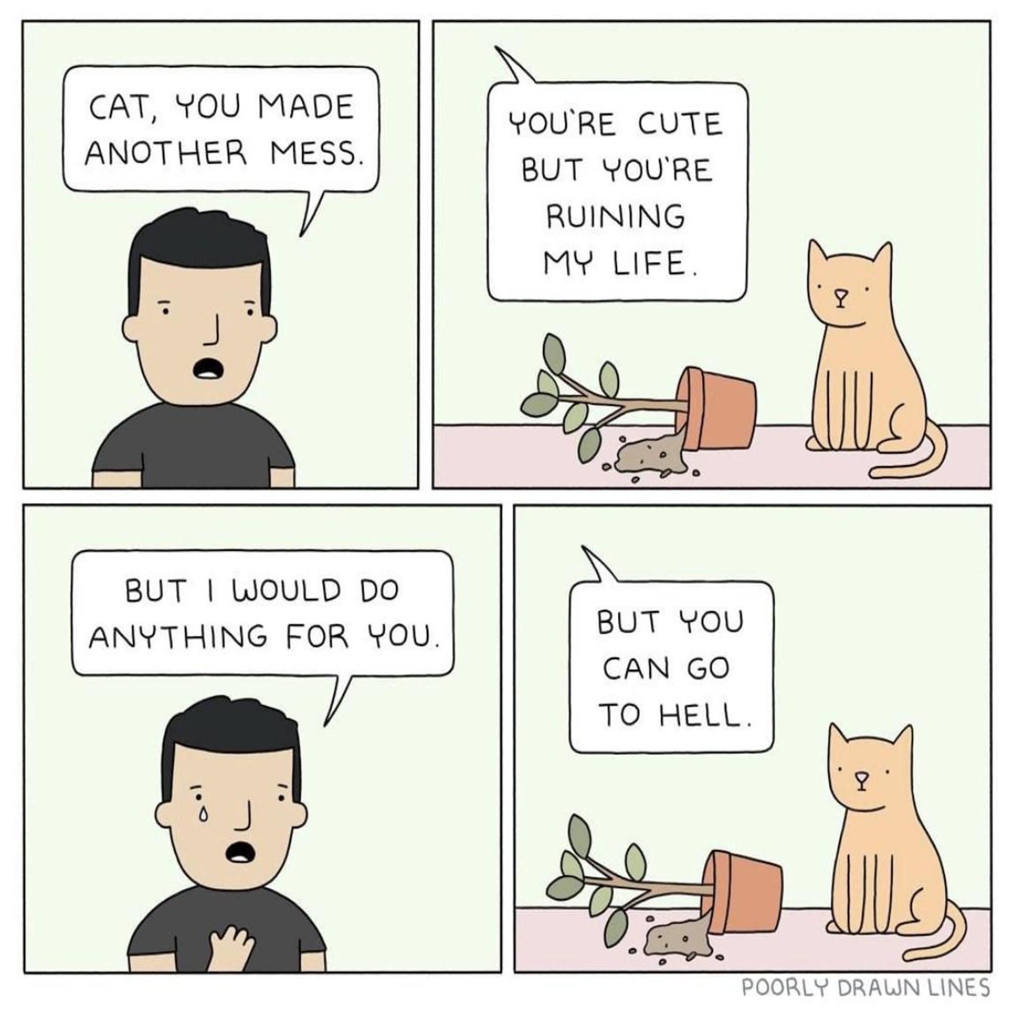 CAT YOU MADE ANOTHER MESS YOURE CUTE BUT YOURE RUINING MY LIFE BUT WOULD DO ANYTHING FOR YOU BUT YoU CAN GO TO HELL