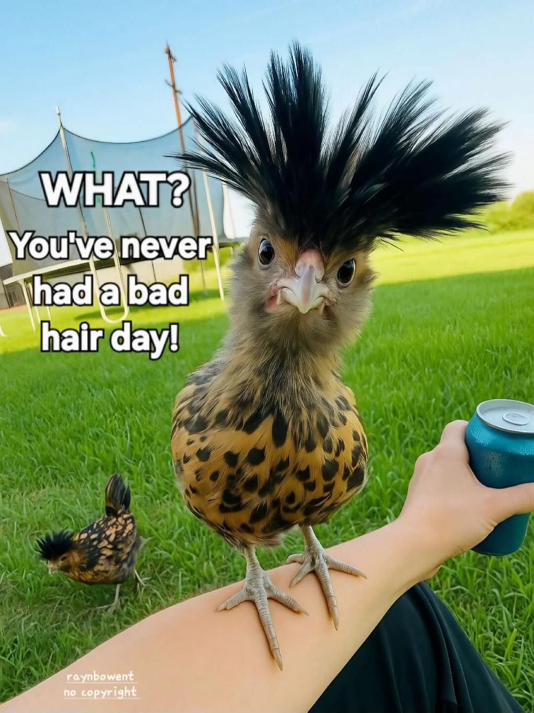 WHAT? You've never had a bad hair day! raynbowent no copyright
