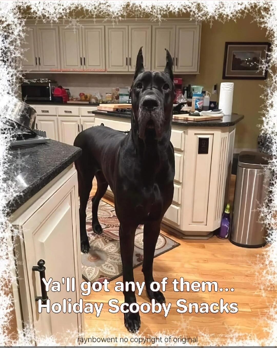 Ya'll got any of them... Holiday Scooby Snacks