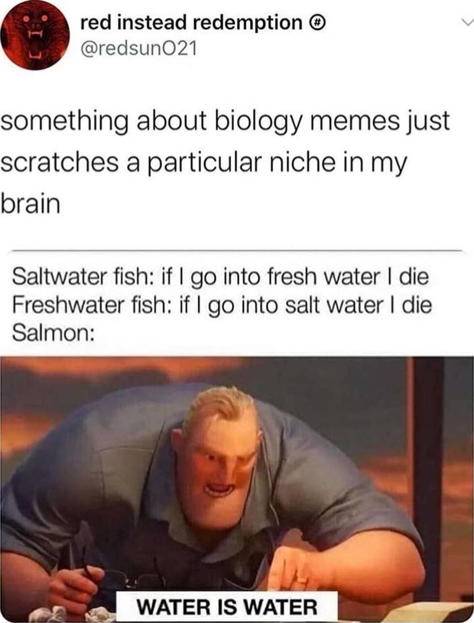 red instead redemption redsun021 something about biology memes just scratches a particular niche in my brain Saltwater fish if go into fresh water die Freshwater fish if go into salt water die Salmon WATER IS WATER