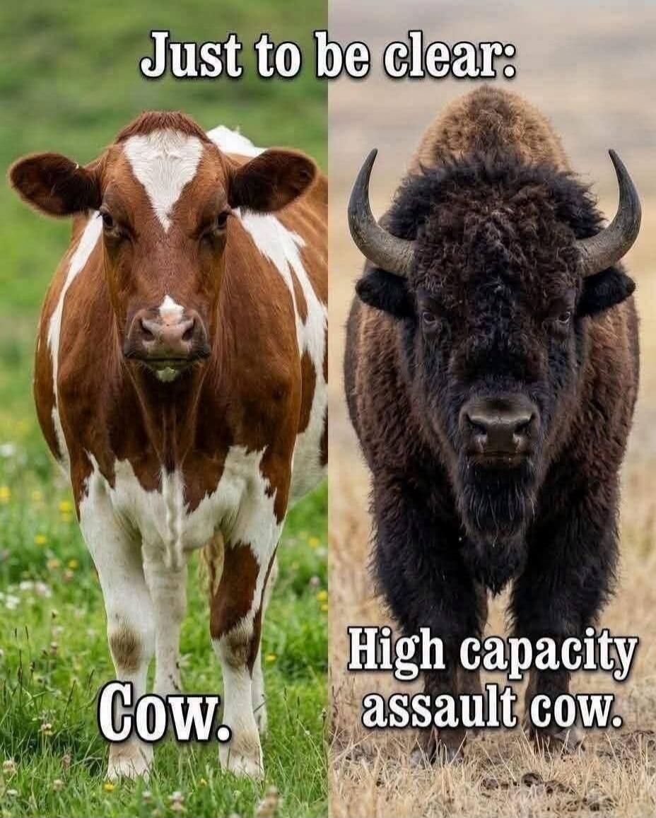 Just to be clear: Cow. High capacity assault cow.