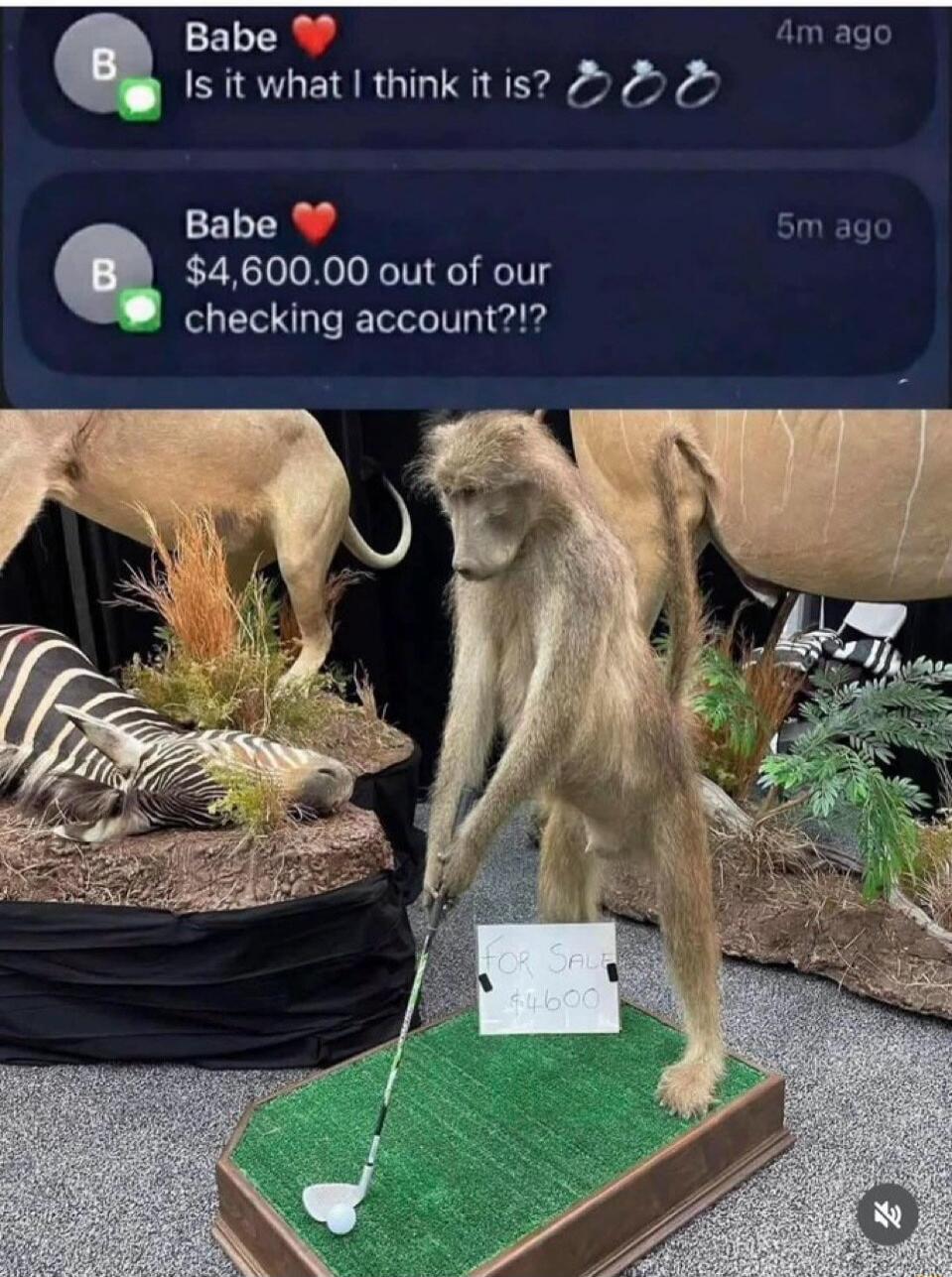 Babe ❤️ Is it what I think it is? 4m ago
Babe ❤️ $4,600.00 out of our checking account?!?