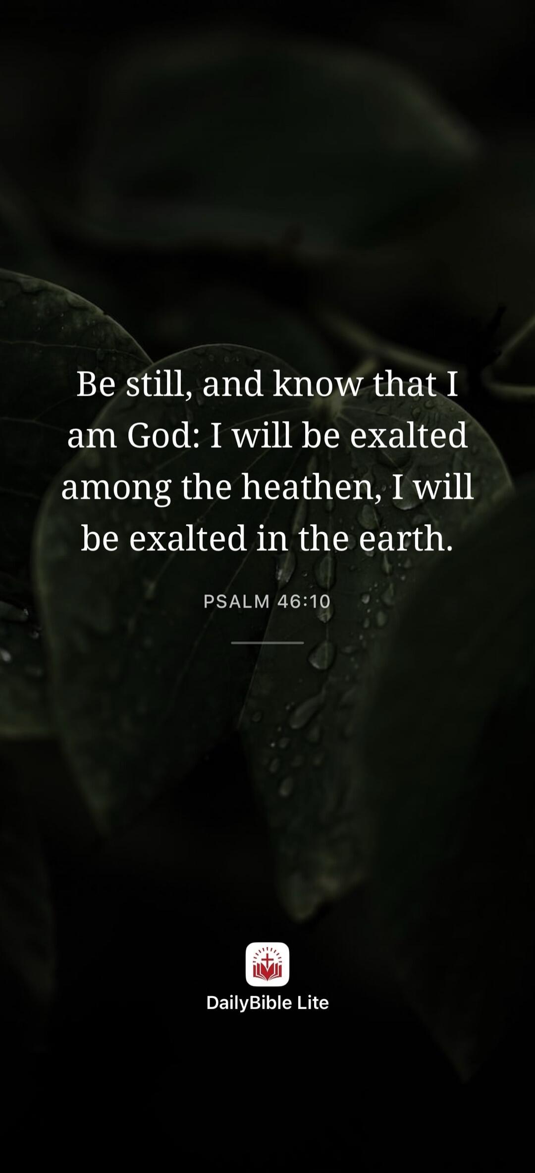 Be still, and know that I am God: I will be exalted among the heathen, I will be exalted in the earth. PSALM 46:10 DailyBible Lite