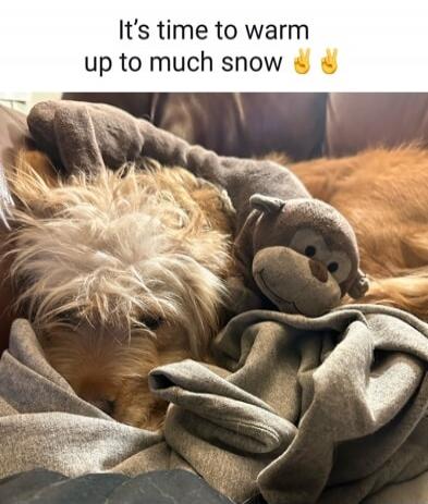 It's time to warm up to much snow ✌️✌️