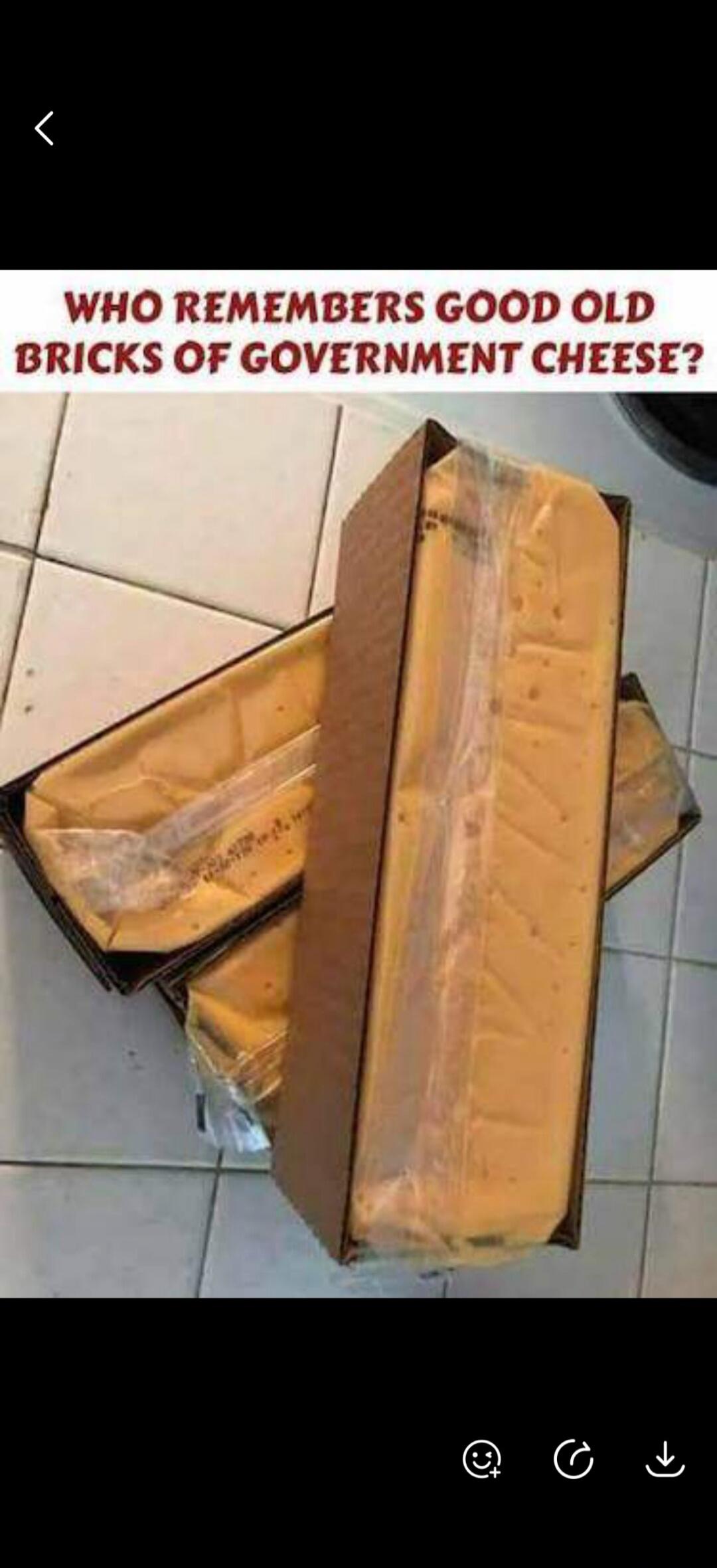 WHO REMEMBERS GOOD OLD BRICKS OF GOVERNMENT CHEESE?