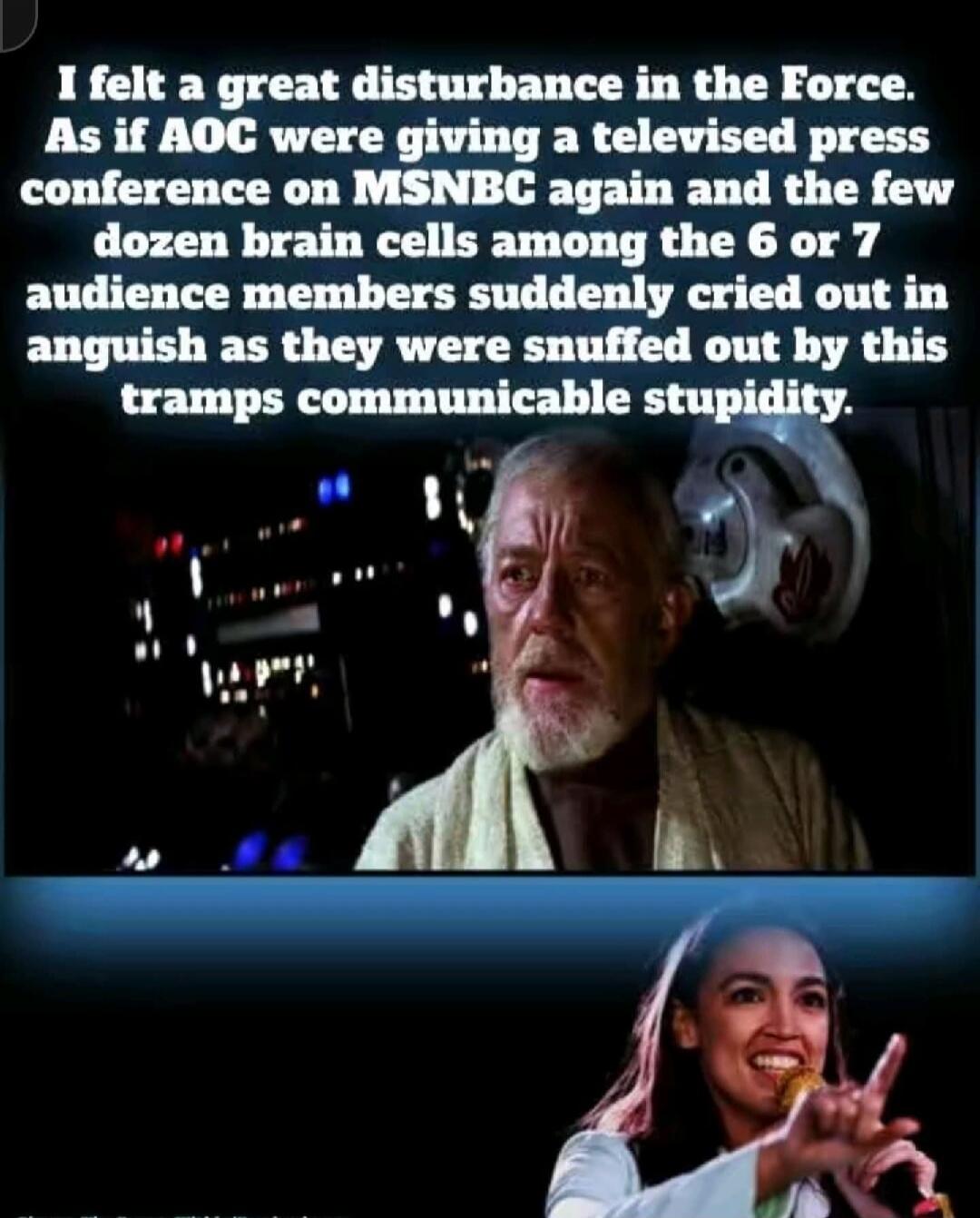 I felt a great disturbance in the Force. As if AOC were giving a televised press conference on MSNBC again and the few dozen brain cells among the 6 or 7 audience members suddenly cried out in anguish as they were snuffed out by this tramps communicable stupidity.
