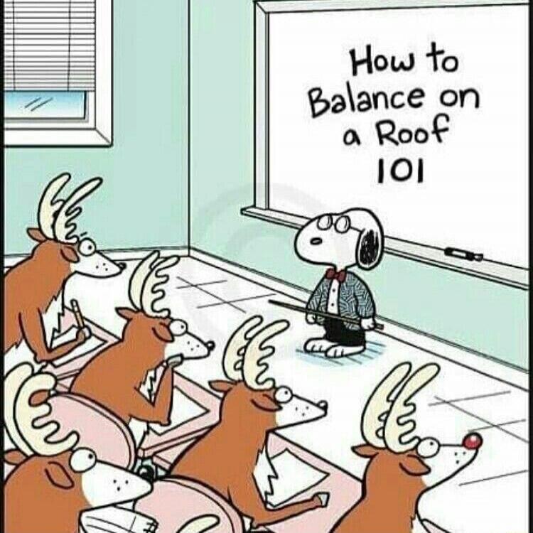 How to Balance on a Roof 101