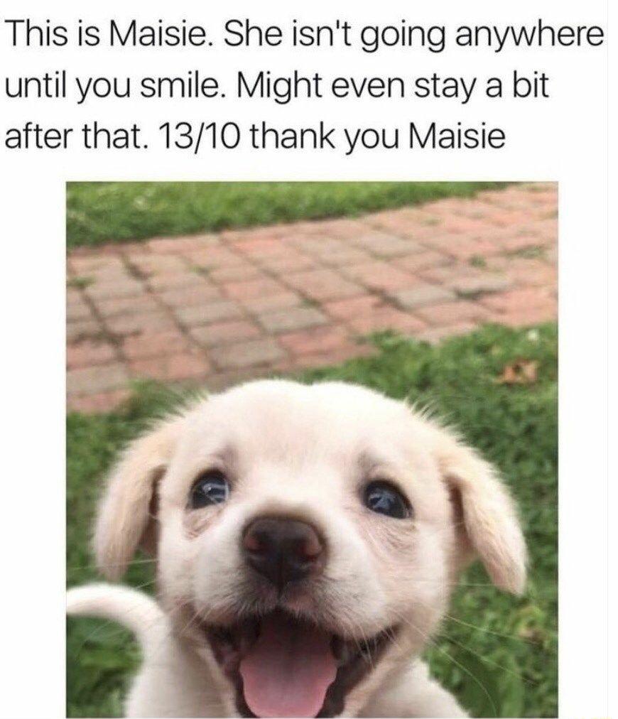 This is Maisie She isnt going anywhere until you smile Might even stay a bit after that 1310 thank you Maisie