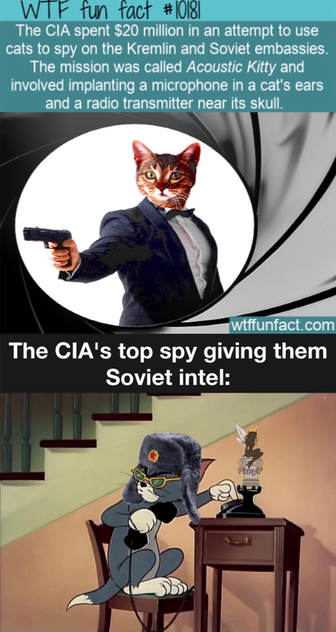 WIF fun facr Hidl The CIAs top spy giving them Soviet intel
