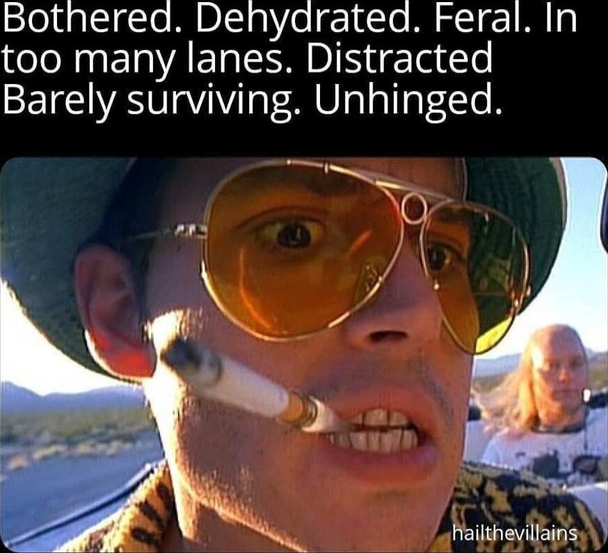 Bothered Denydrated Feral In too many lanes Distracted Barely surviving Unhinged LENIOENETES