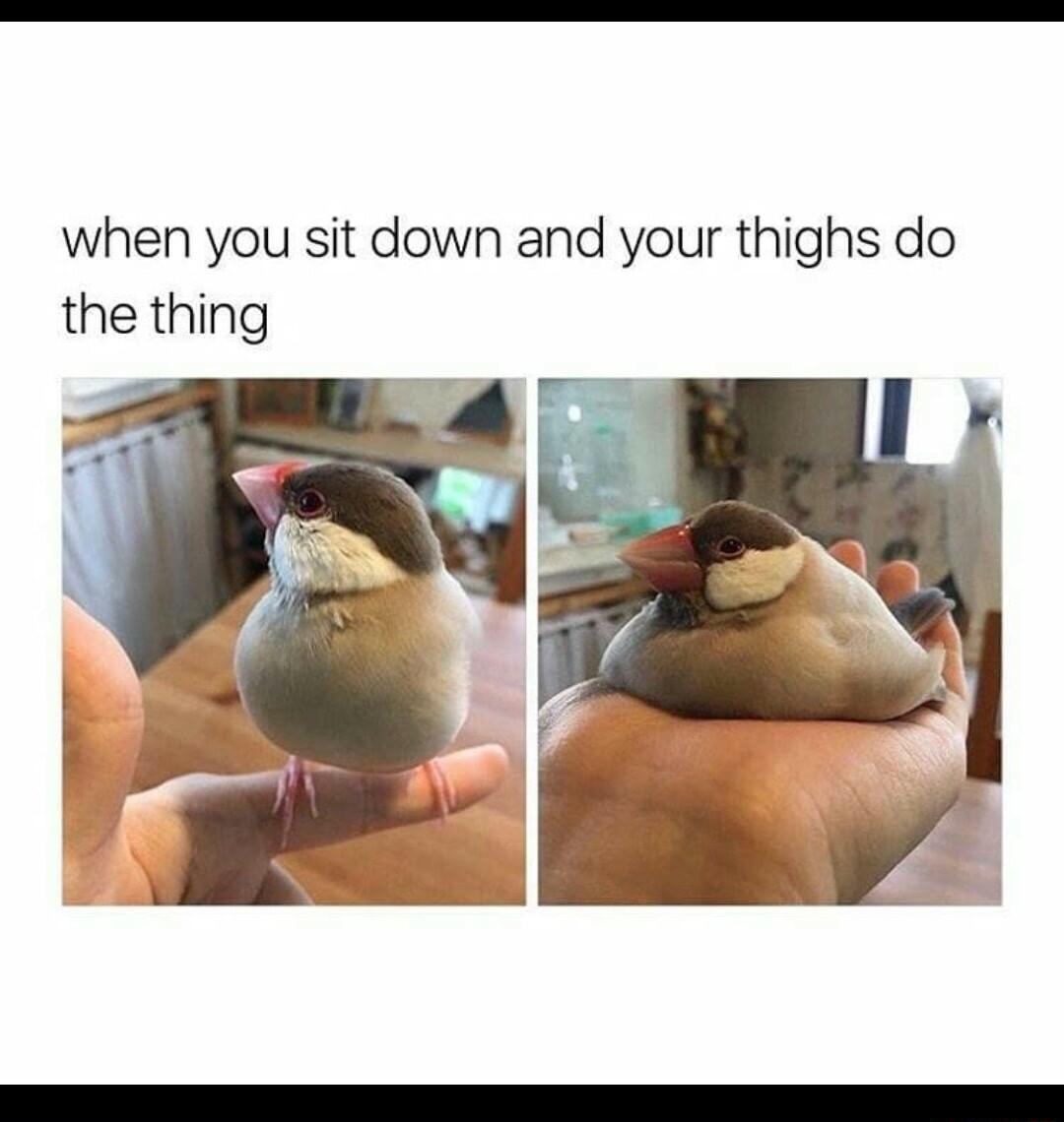 when you sit down and your thighs do the thing