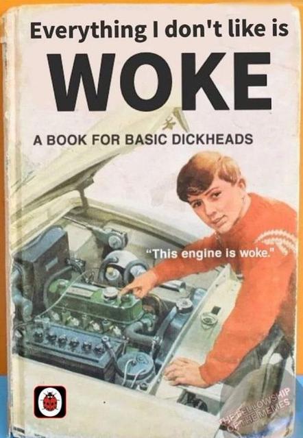 Everything dont like is WOKE A BOOK FOR BASIC DICKHEADS