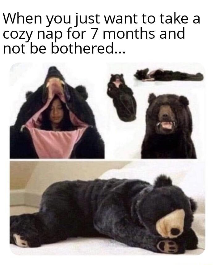 When you just want to take a cozy nap for 7 months and not be bothered