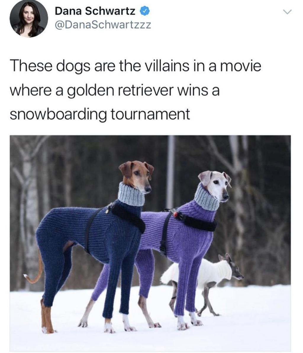 Dana Schwartz DanaSchwartzzz These dogs are the villains in a movie where a golden retriever wins a snowboarding tournament