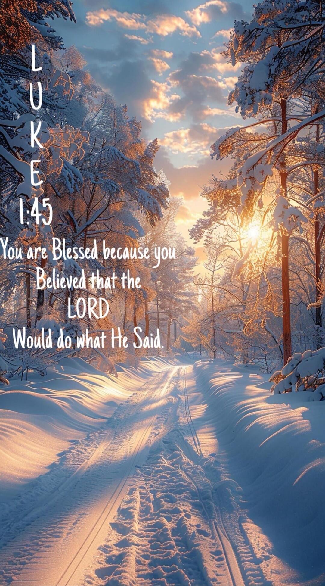 LUKE 1:45 You are Blessed because you Believed that the LORD Would do what He Said