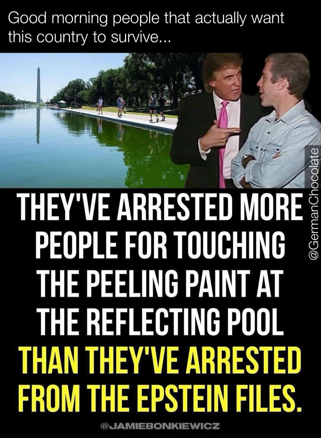 Good morning people that actually want this country to survive... THEY'VE ARRESTED MORE PEOPLE FOR TOUCHING THE PEELING PAINT AT THE REFLECTING POOL THAN THEY'VE ARRESTED FROM THE EPSTEIN FILES.