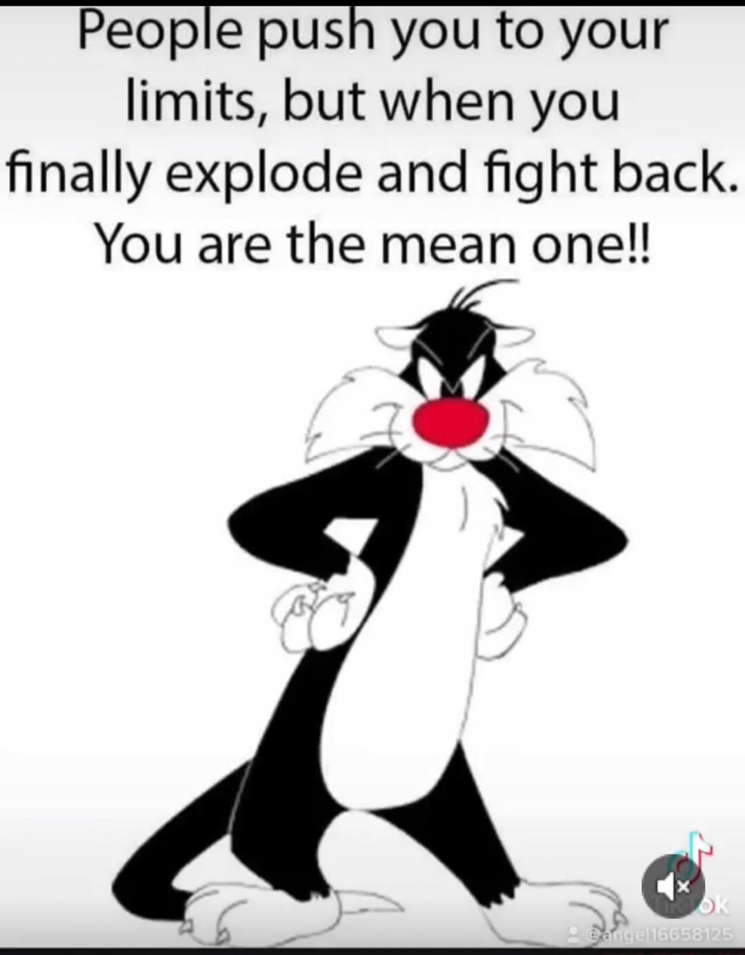 People push you to your limits, but when you finally explode and fight back. You are the mean one!!