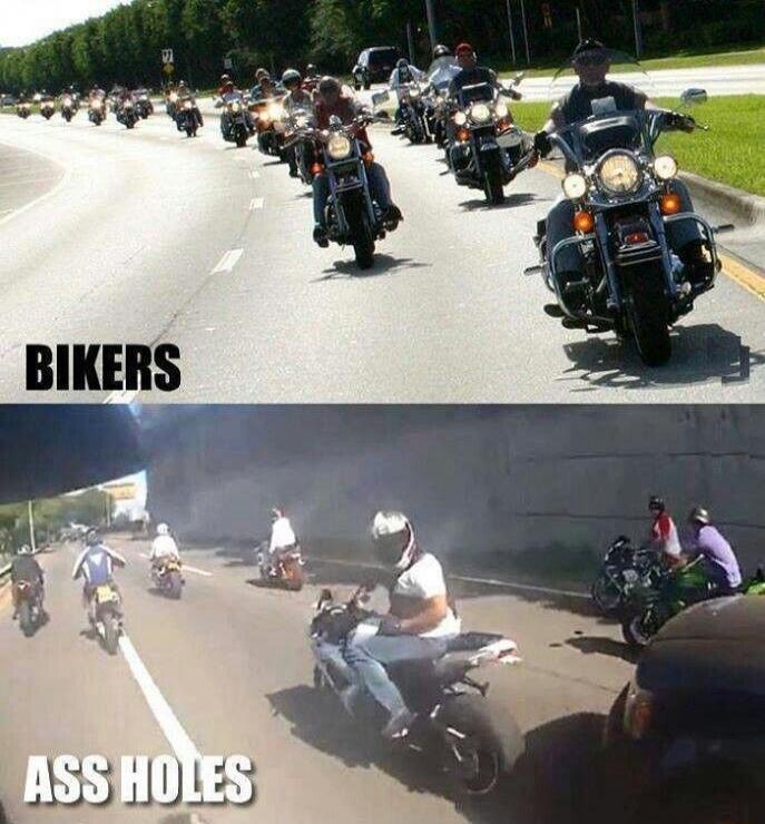 BIKERS ASS HOLES