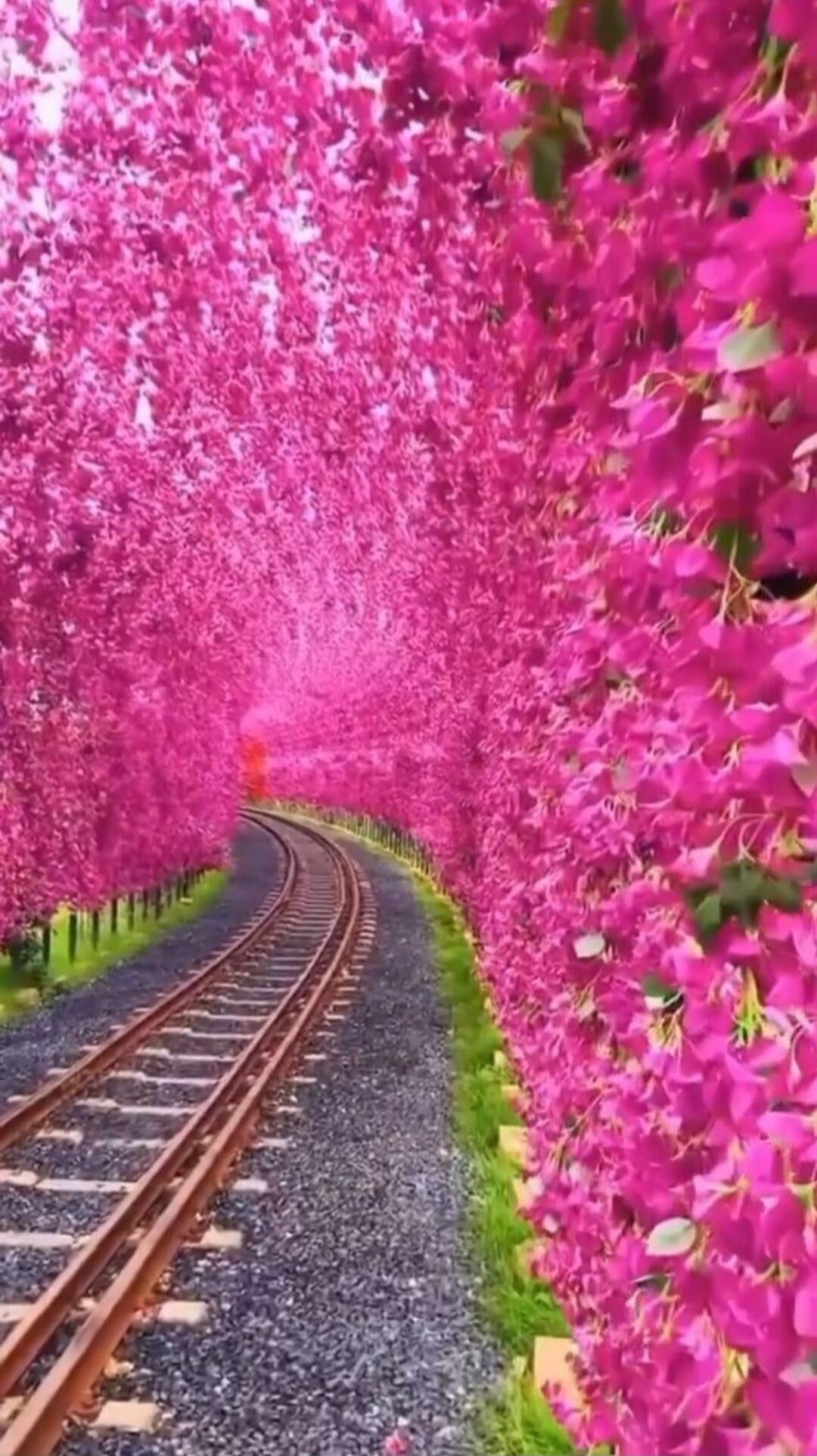 Session ID: 1017957.