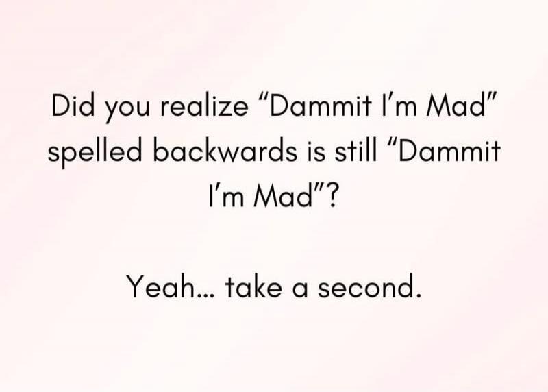 Did you realize “Dammit I’m Mad” spelled backwards is still “Dammit I’m Mad”? Yeah... take a second.