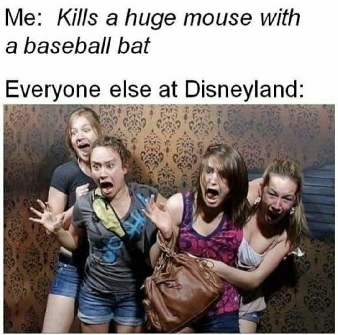 Me Kills a huge mouse with a baseball bat Everyone else at Disneyland