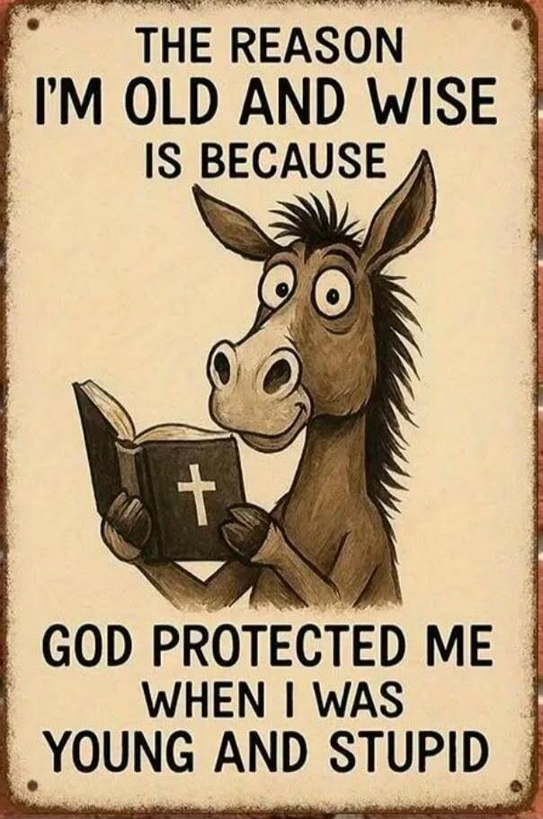 THE REASON I'M OLD AND WISE IS BECAUSE GOD PROTECTED ME WHEN I WAS YOUNG AND STUPID