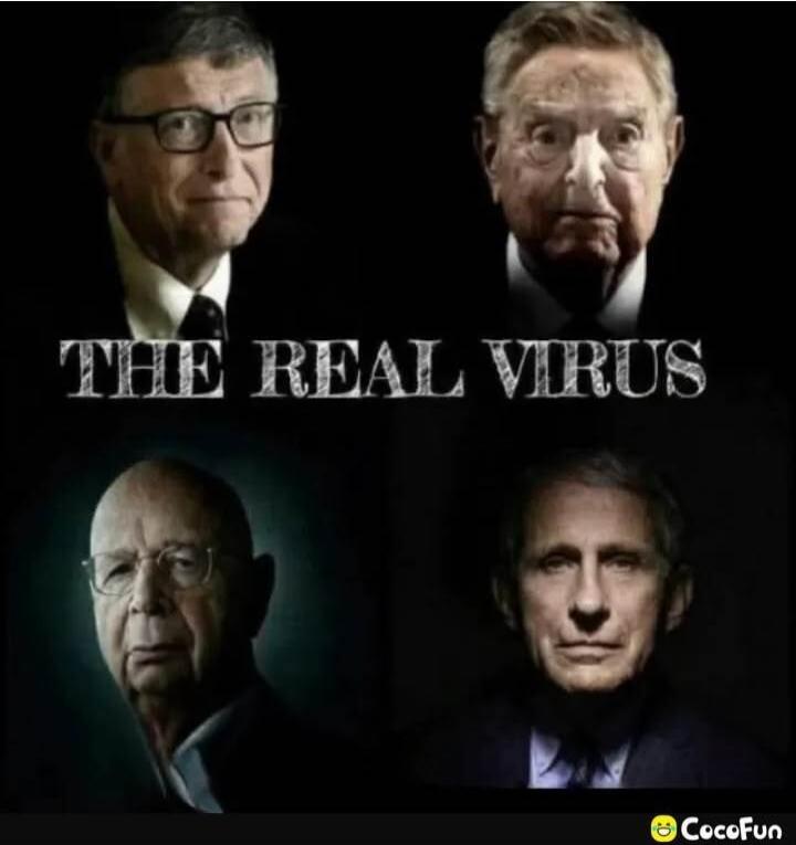 THE REAL VIRUS