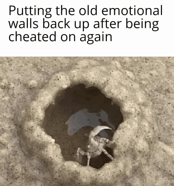 Putting the old emotional walls back up after being cheated on again