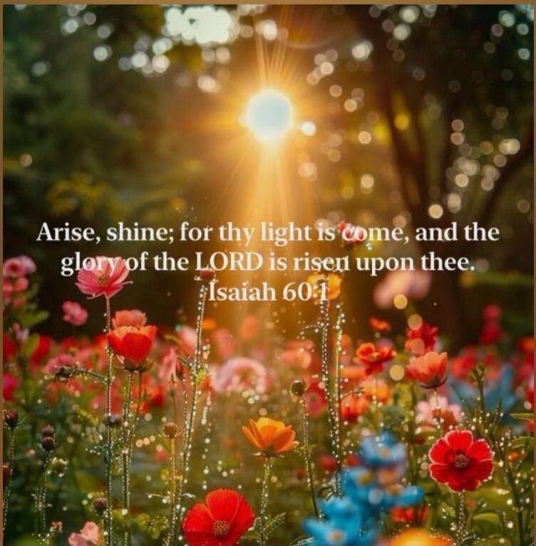 Arise, shine; for thy light is come, and the glory of the LORD is risen upon thee. Isaiah 60:1