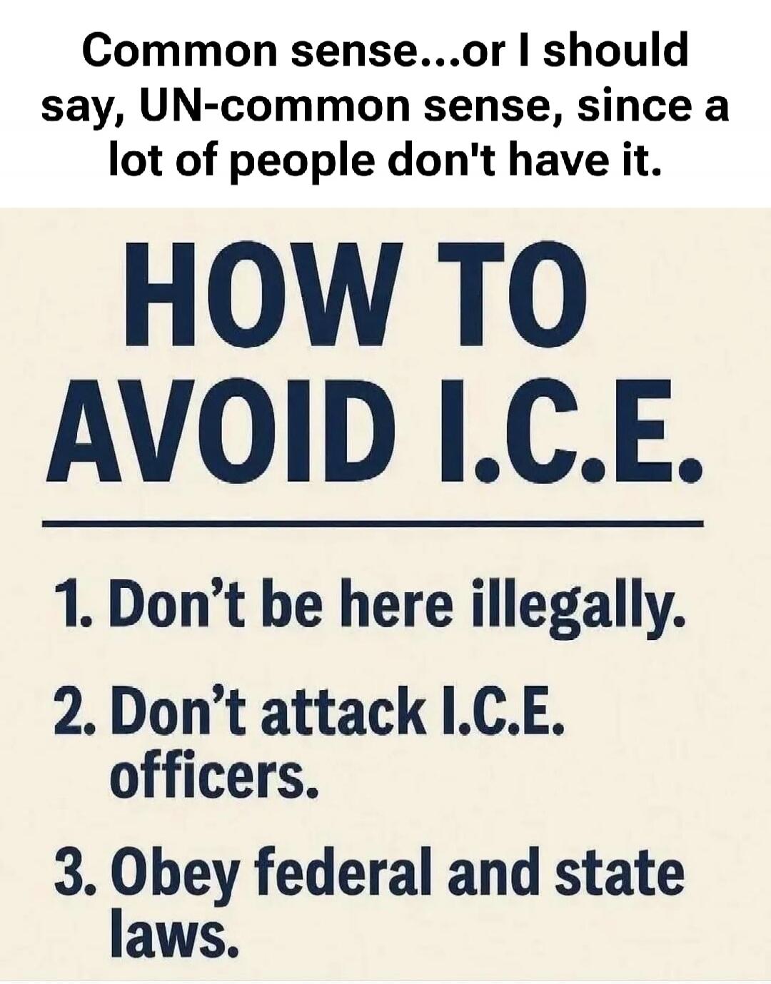 Common sense...or I should say, UN-common sense, since a lot of people don't have it. HOW TO AVOID I.C.E. 1. Don't be here illegally. 2. Don't attack I.C.E. officers. 3. Obey federal and state laws.