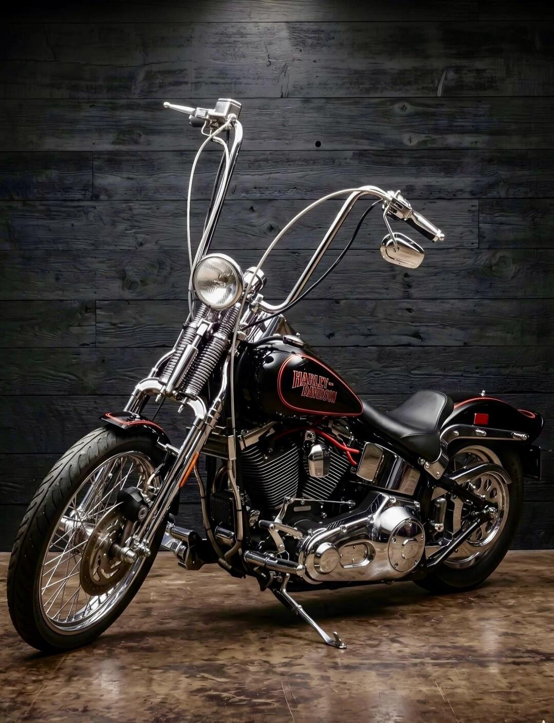 HARLEY-DAVIDSON