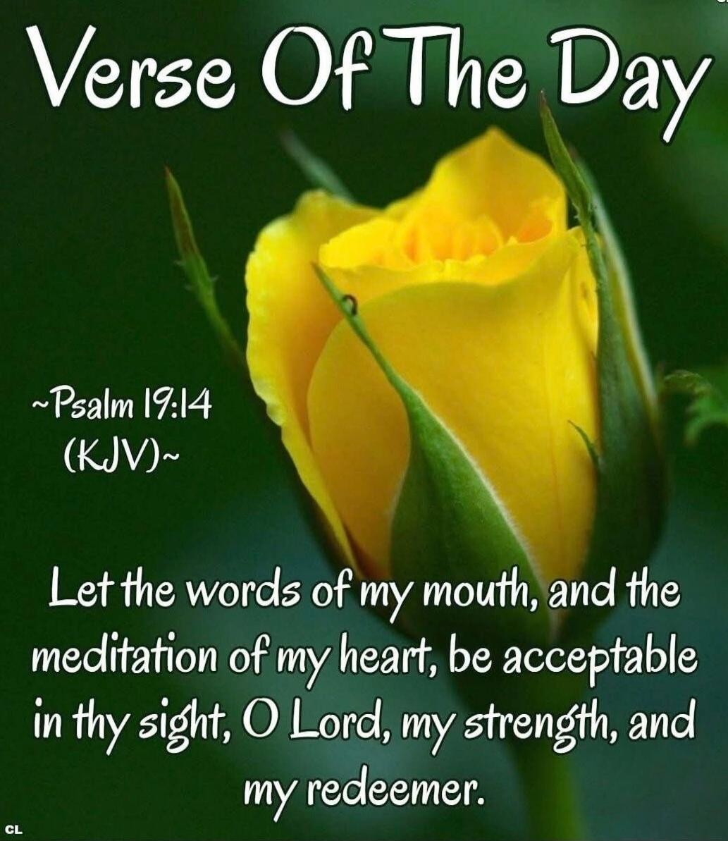 Verse Of The Day ~Psalm 19:14 (KJV)~ Let the words of my mouth, and the meditation of my heart, be acceptable in thy sight, O Lord, my strength, and my redeemer.