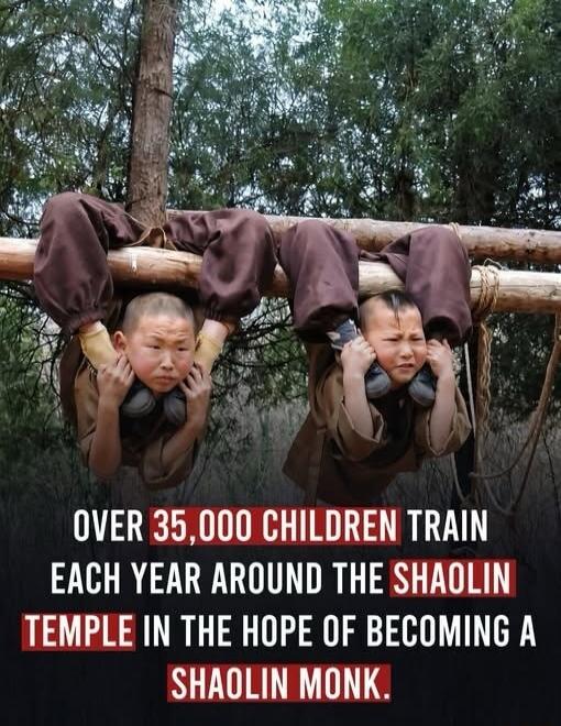 OVER 35,000 CHILDREN TRAIN EACH YEAR AROUND THE SHAOLIN TEMPLE IN THE HOPE OF BECOMING A SHAOLIN MONK.