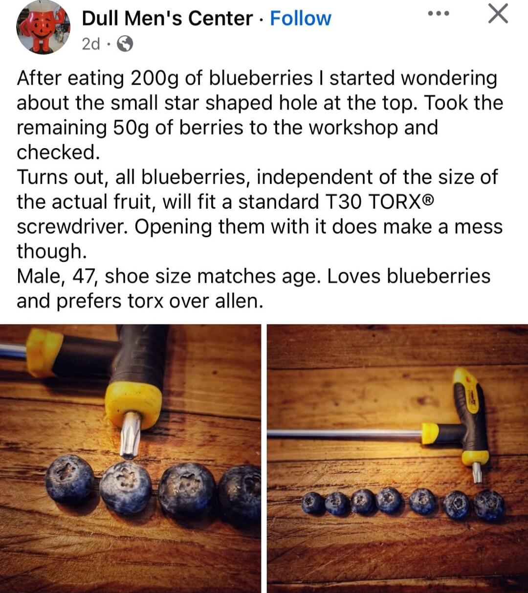 Dull Mens Center Follow e X 24 Q After eating 200g of blueberries started wondering about the small star shaped hole at the top Took the remaining 50g of berries to the workshop and checked Turns out all blueberries independent of the size of the actual fruit will fit a standard T30 TORX screwdriver Opening them with it does make a mess though Male 47 shoe size matches age Loves blueberries and pr